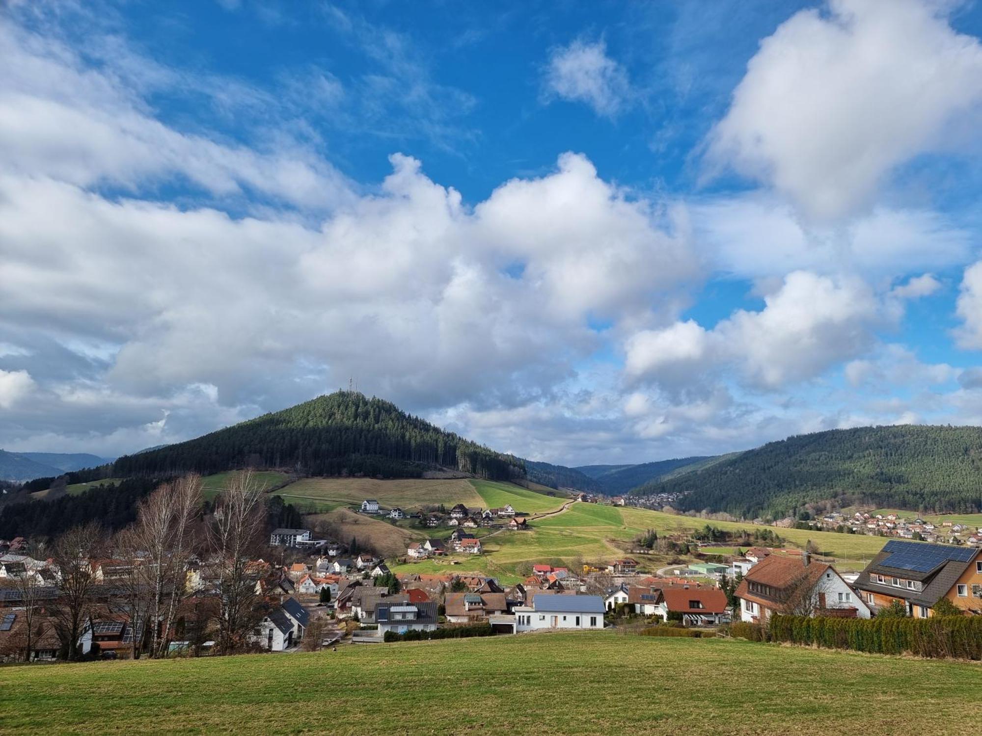 Fewo Mit Pool In Baiersbronn Exterior photo
